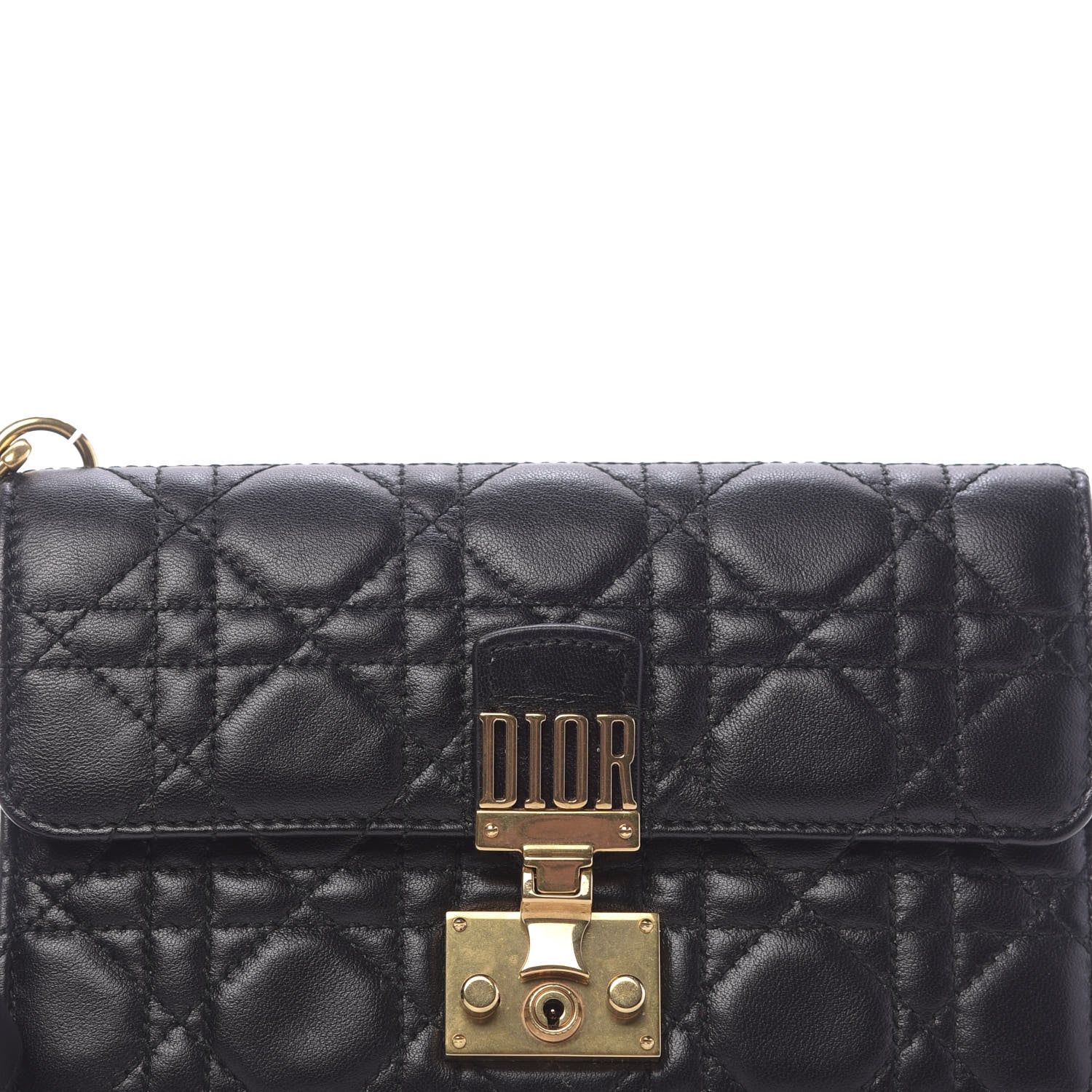 Christian Dior Lambskin Daddi Pouch Black 12 of 12