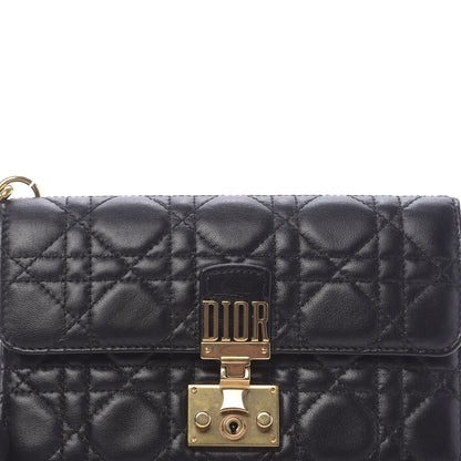 Christian Dior Lambskin Daddi Pouch Black 12 of 12