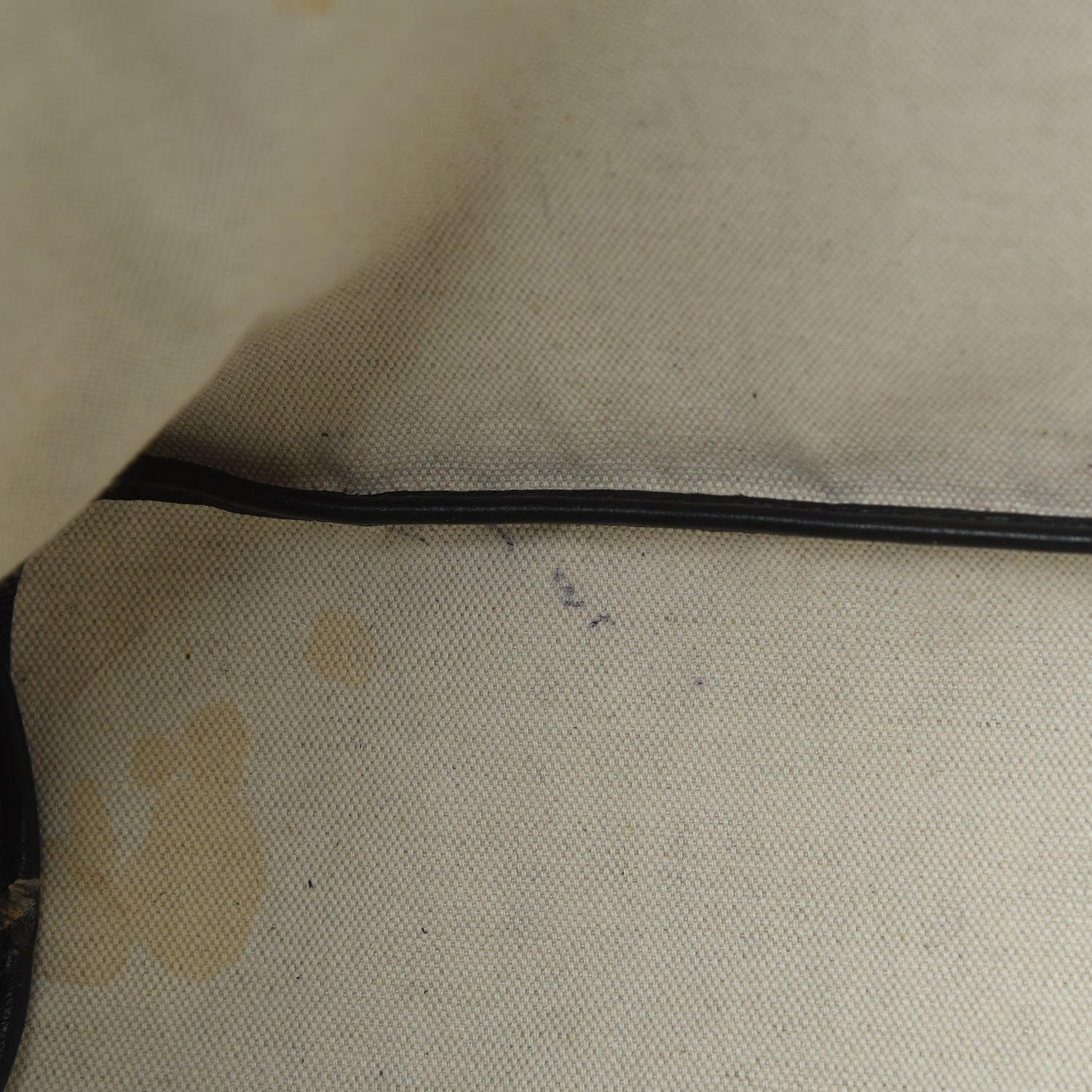 Goyard Goyardine Saint Louis PM Black 12 of 15