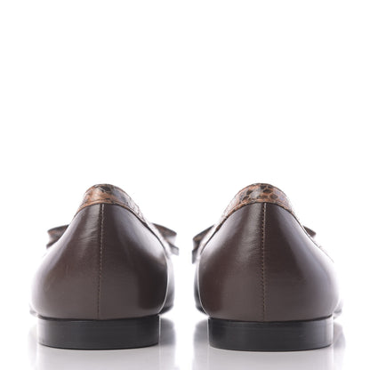 Gucci Malaga Kid Elaphe Yva Ballet Flats 40 Cocoa 7 of 12