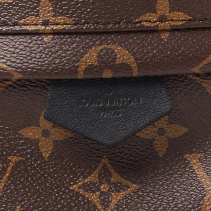 Louis Vuitton Monogram Palm Springs Backpack PM 8 of 8