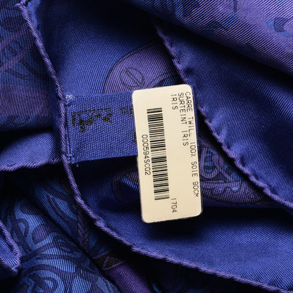Hermes Silk Dip Dyed Mors et Gourmettes Scarf 90 Iris 4 of 5