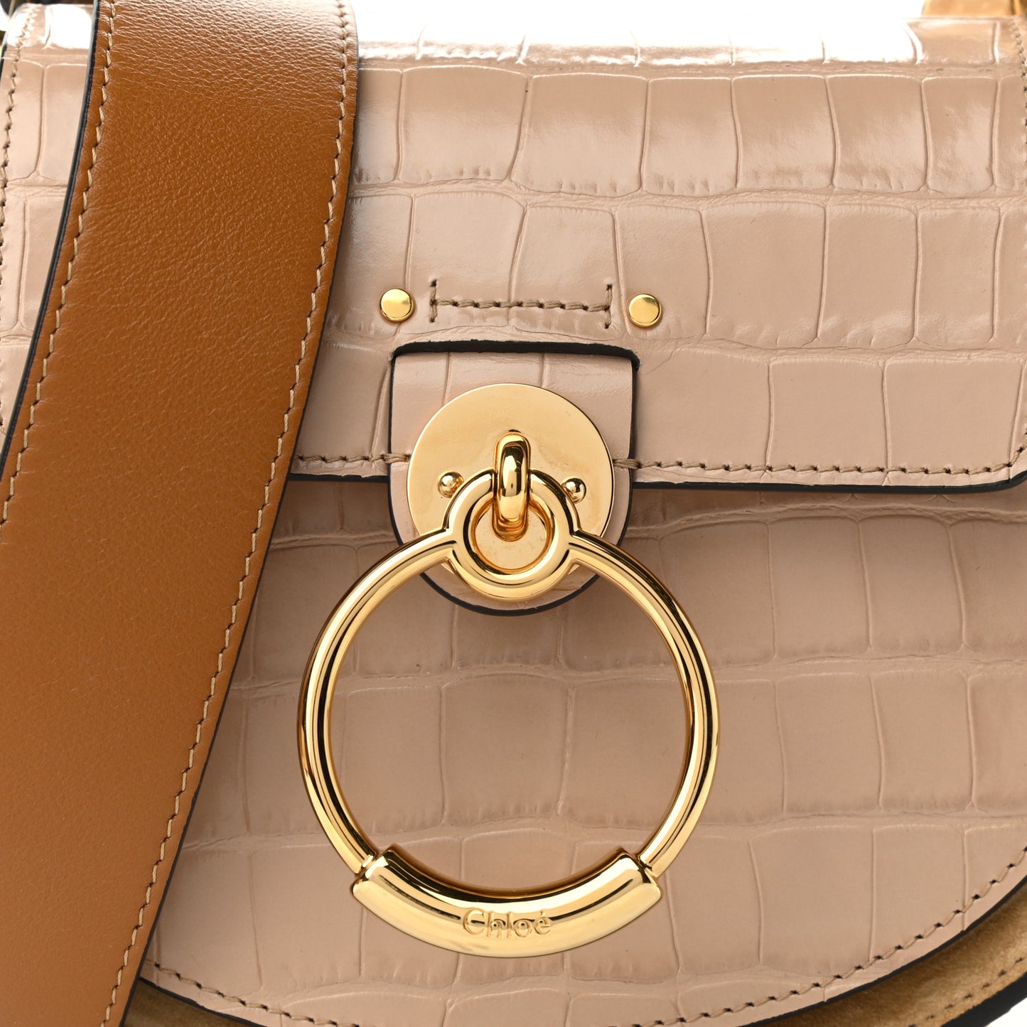 Calfskin Crocodile Embossed Small Tess Bag Nut