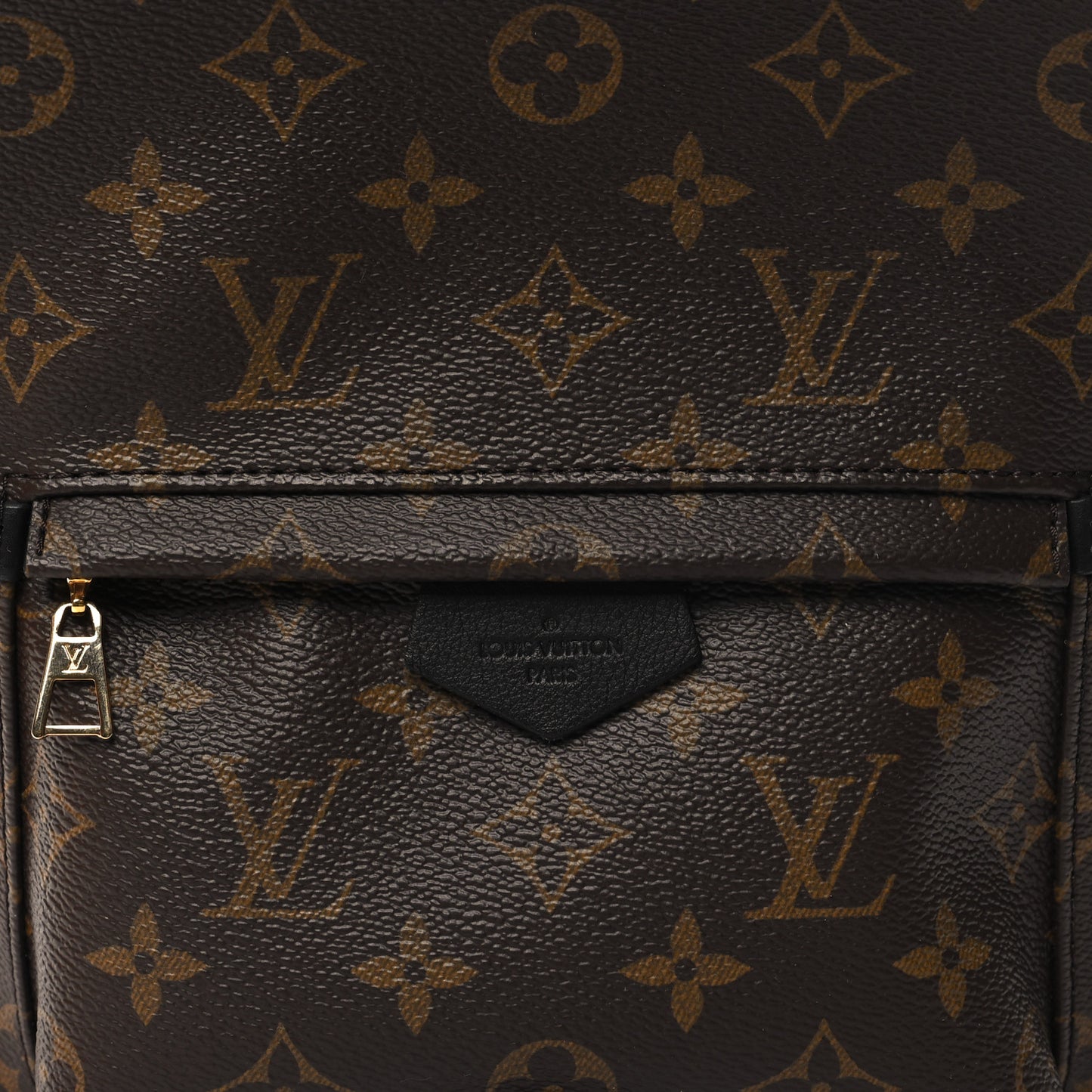 Monogram Palm Springs Backpack PM
