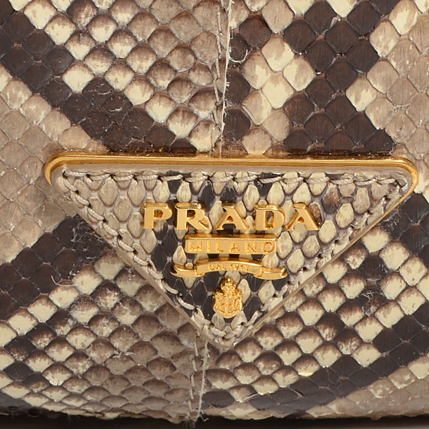 Python Frame Bag Roccia
