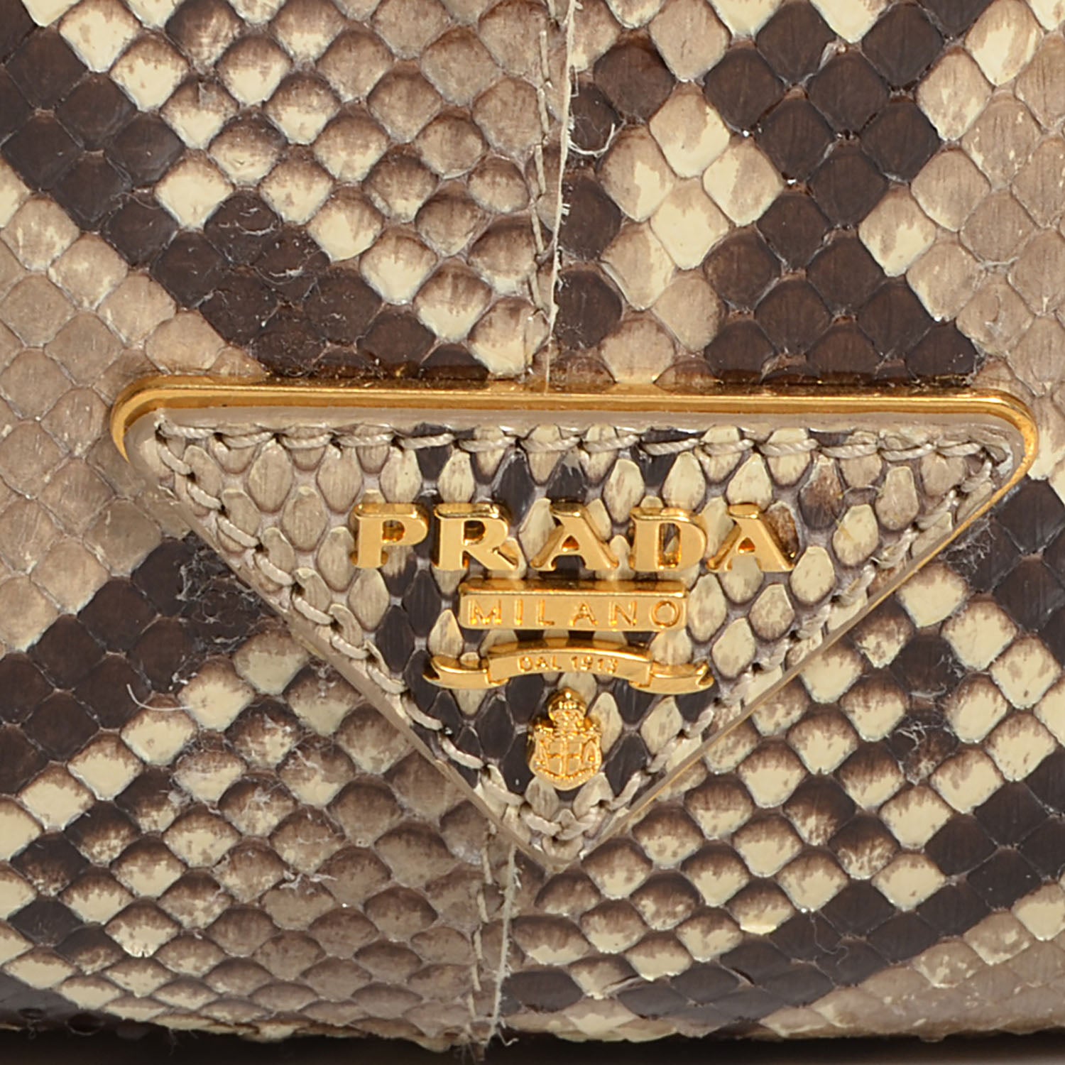 Prada Python Frame Bag Roccia 5 of 10