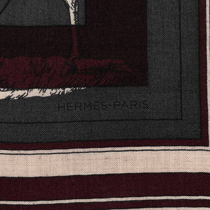Hermes Cashmere Silk Imprimeur Fou Charabia Shawl 140 2 of 5