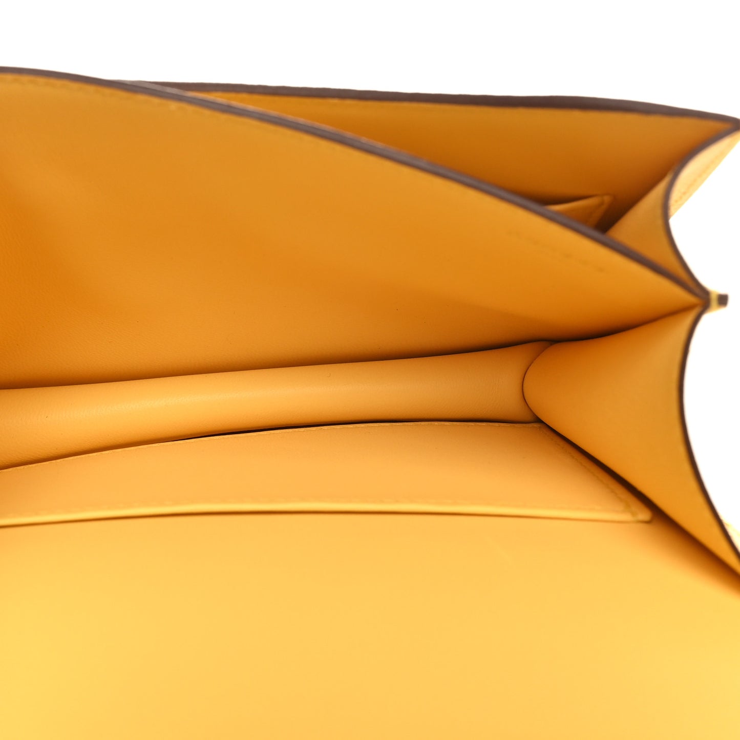 Chevre Mysore Constance 18 Jaune Mango