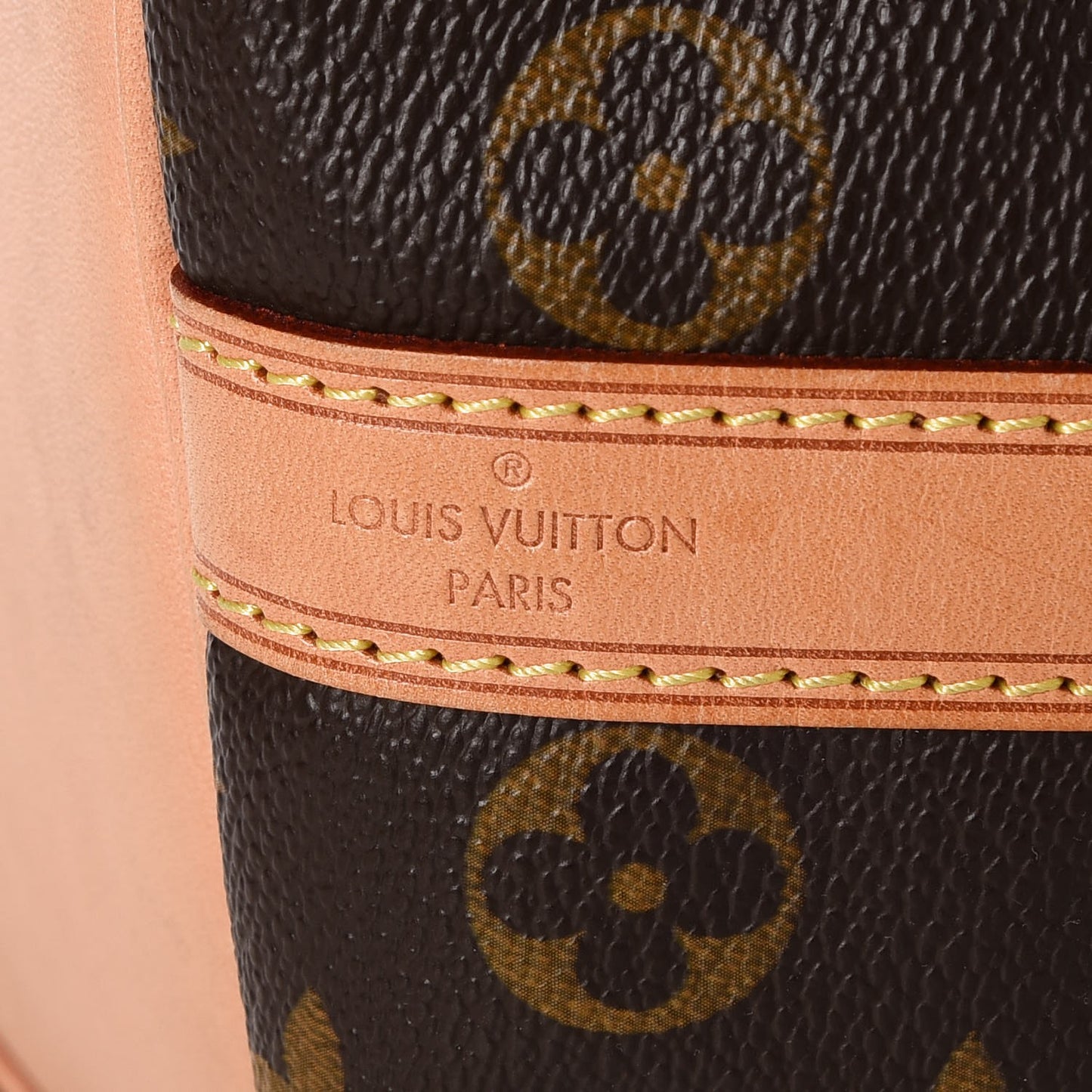 Monogram Petit Noe