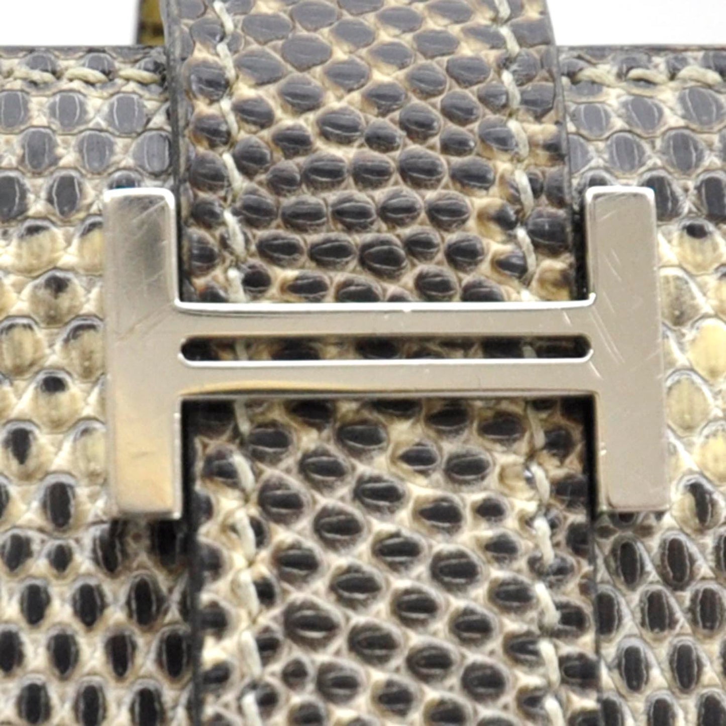 Lizard Bearn Wallet Ombre