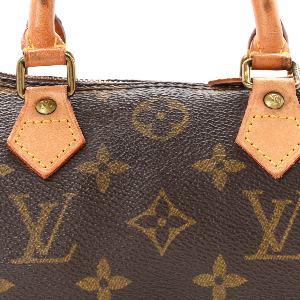 Monogram Mini Sac HL Speedy