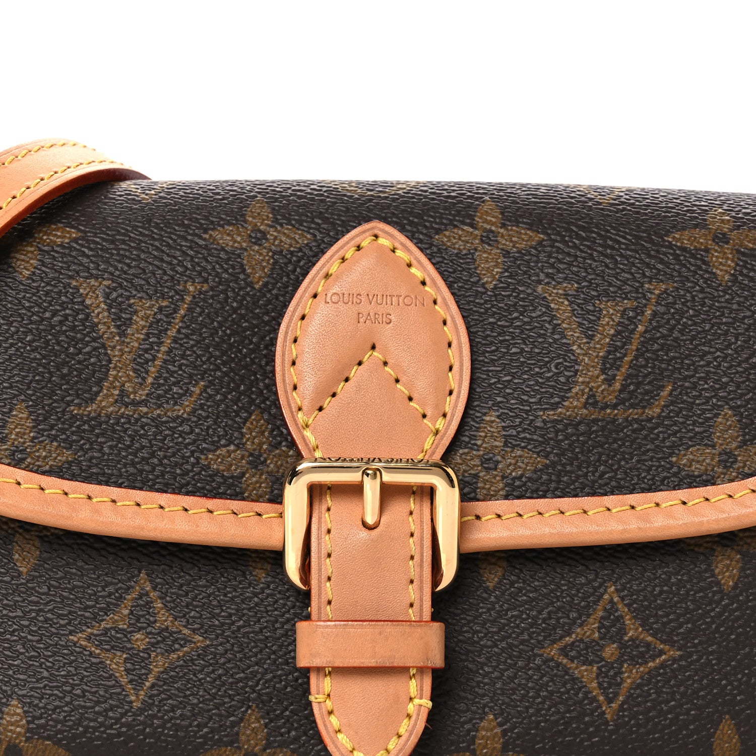 Louis Vuitton Monogram Nano Diane 7 of 10