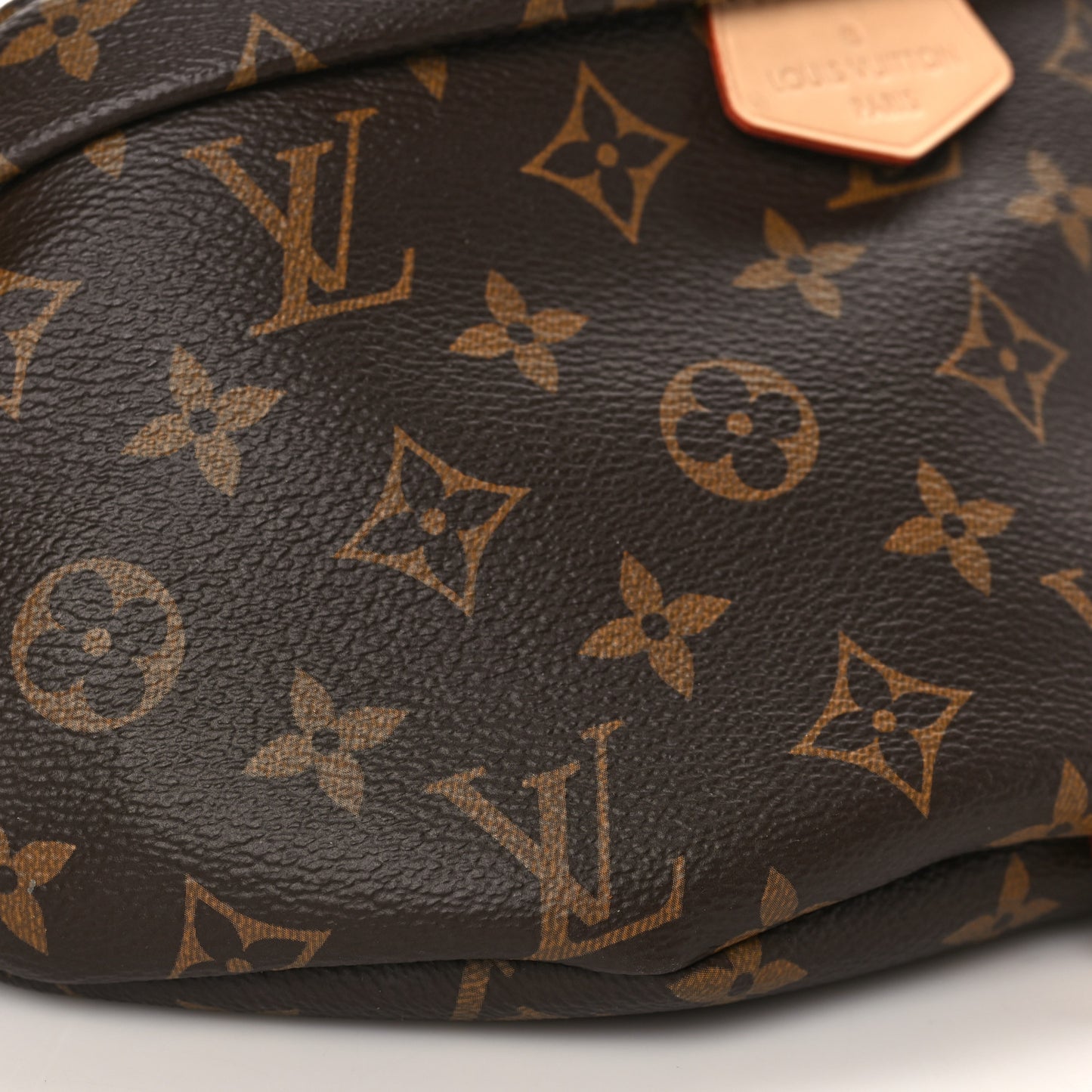 Monogram Bumbag