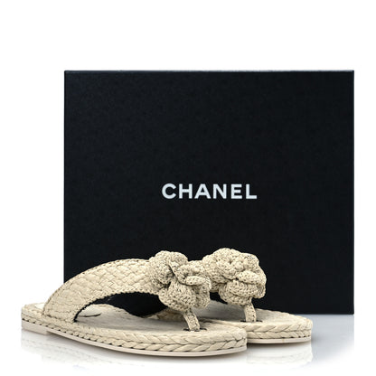 Chanel Raffia Camellia Flower Thong Sandals 38.5 Ivory 13 of 13