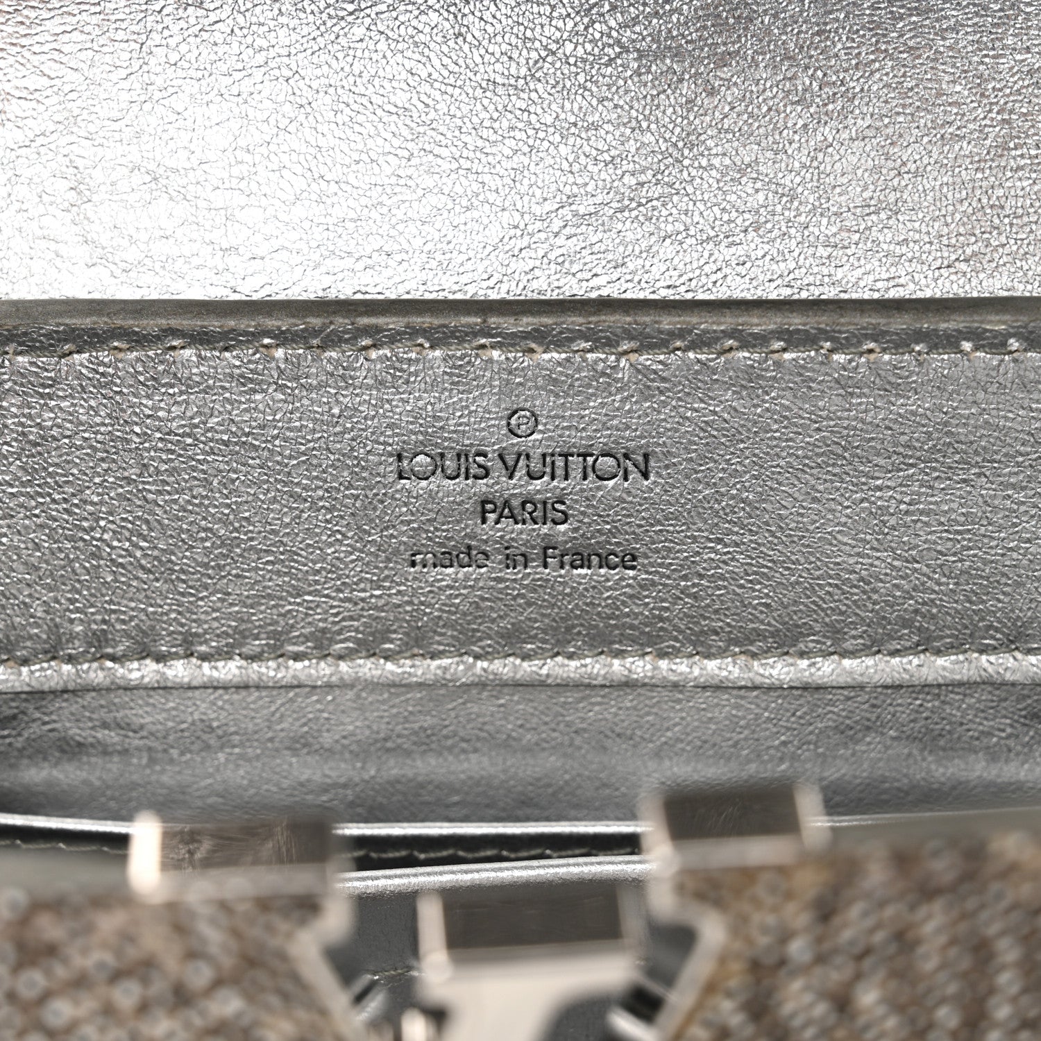 Louis Vuitton Lizard Mini Capucines Argento 1758590 – FASHIONPHILE