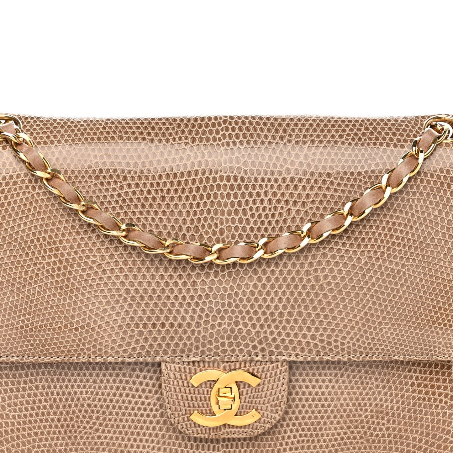 Lizard Medium Double Flap Beige