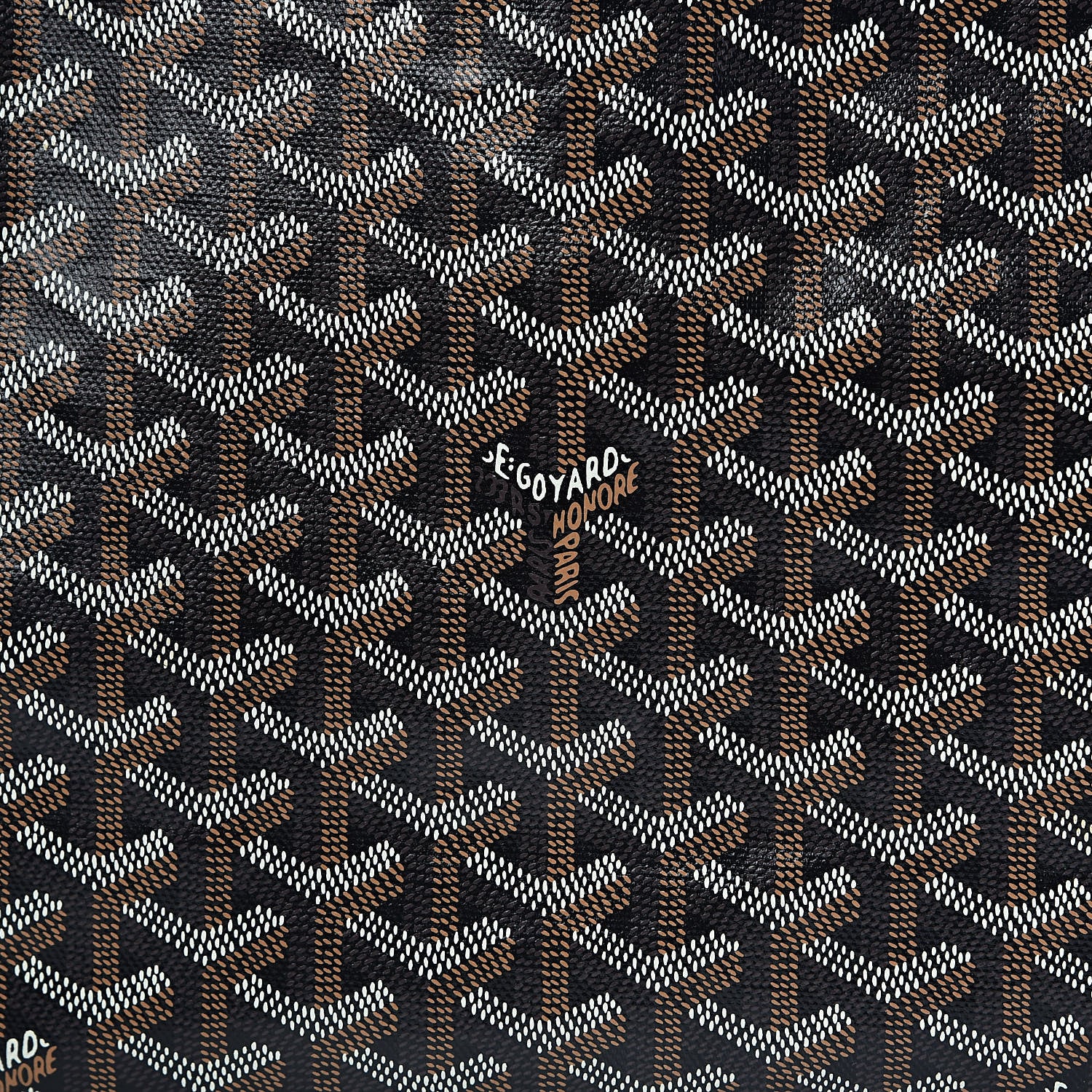 Goyard Goyardine Saint Louis PM Black 12 of 12