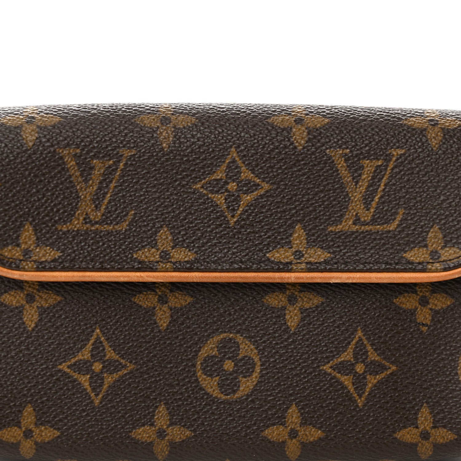 Louis Vuitton Monogram Pochette Florentine L 7 of 15