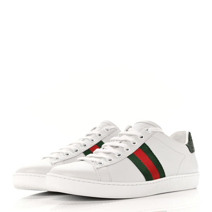 Gucci Calfskin Crocodile Web Womens Ace Sneakers 37 White Green 3 of 8