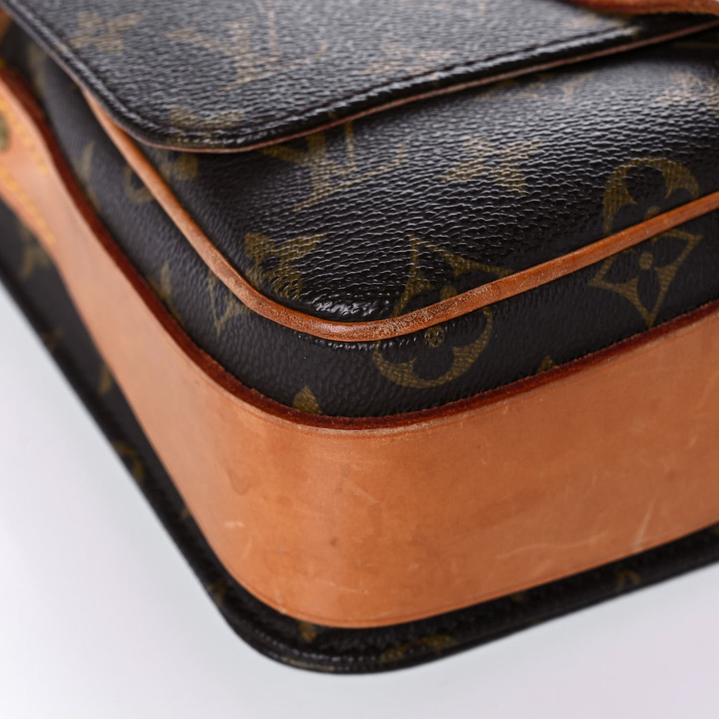 Monogram Cartouchiere 22