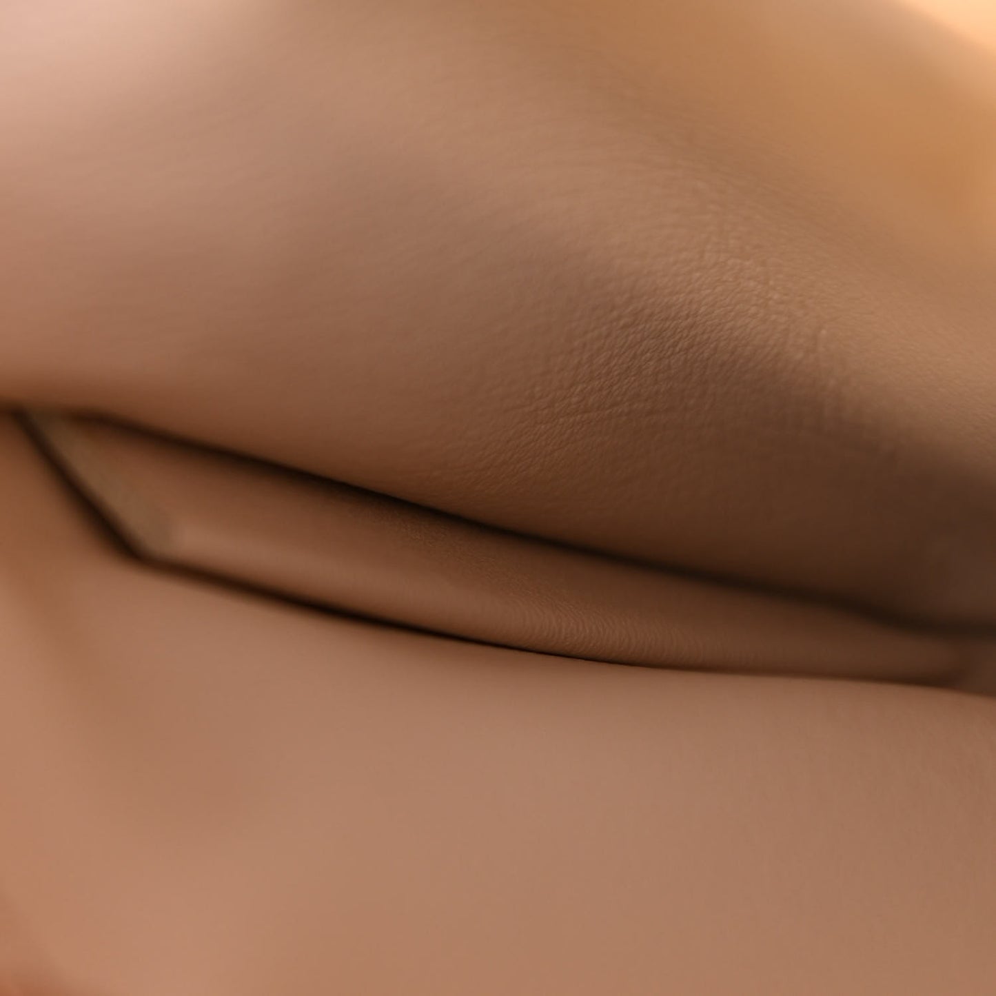 Vitello Tahiti Burro Bi-Color Medium Peekaboo Iconic Essentially Satchel Maya Camelia Confetto