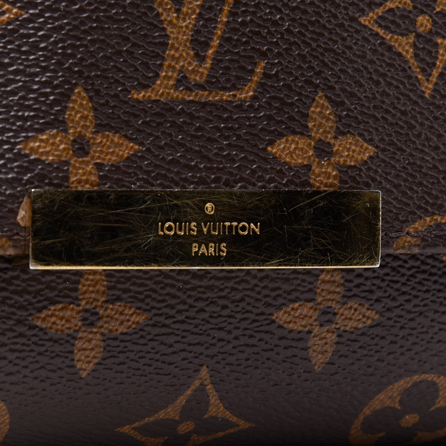 Louis Vuitton Monogram Favorite MM 13 of 14