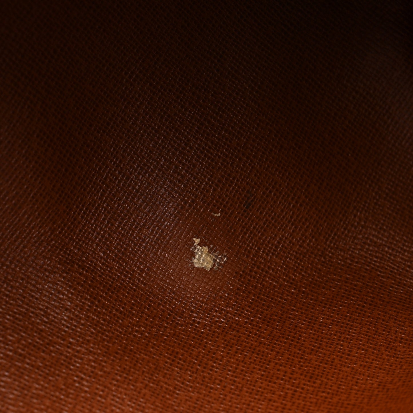 Monogram Papillon 30 with Companion