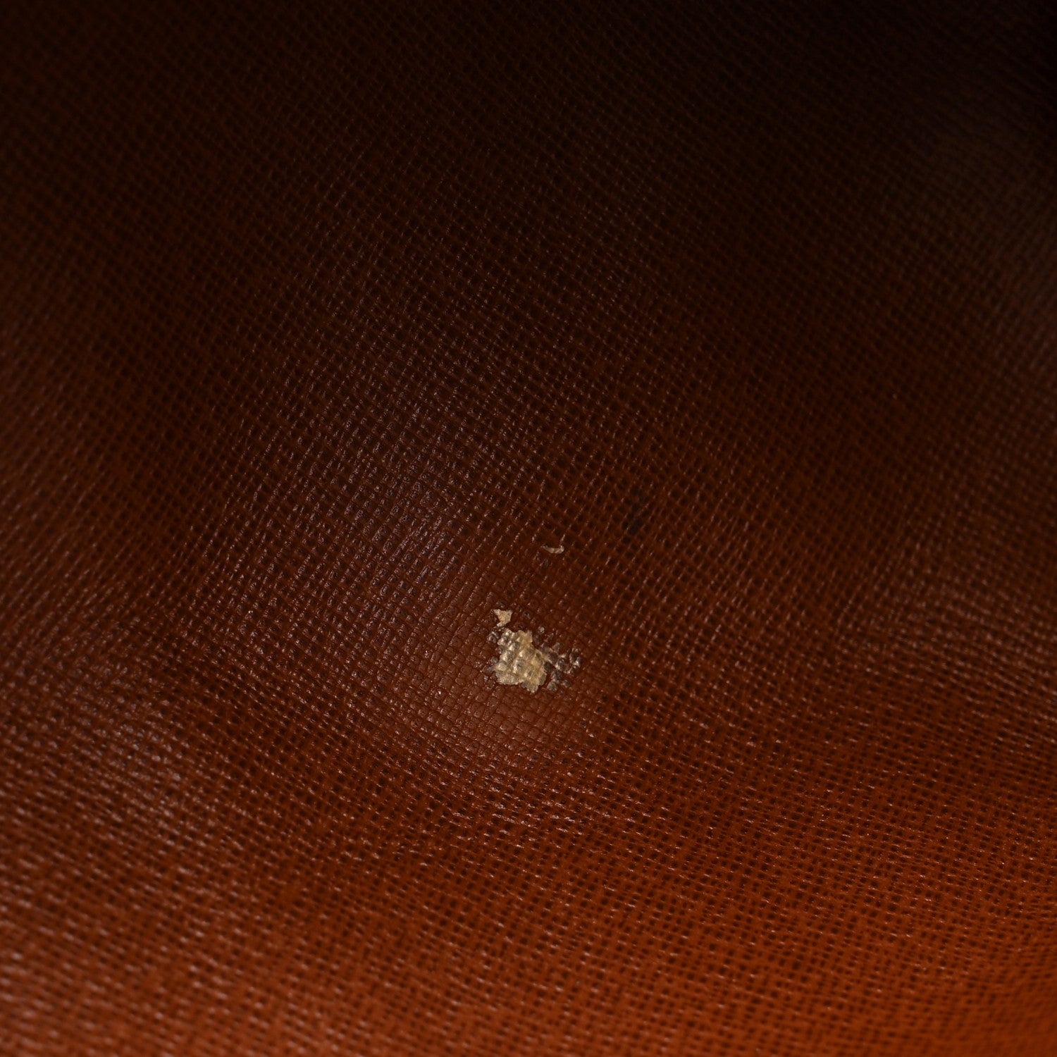 Louis Vuitton Monogram Papillon 30 with Companion 12 of 12