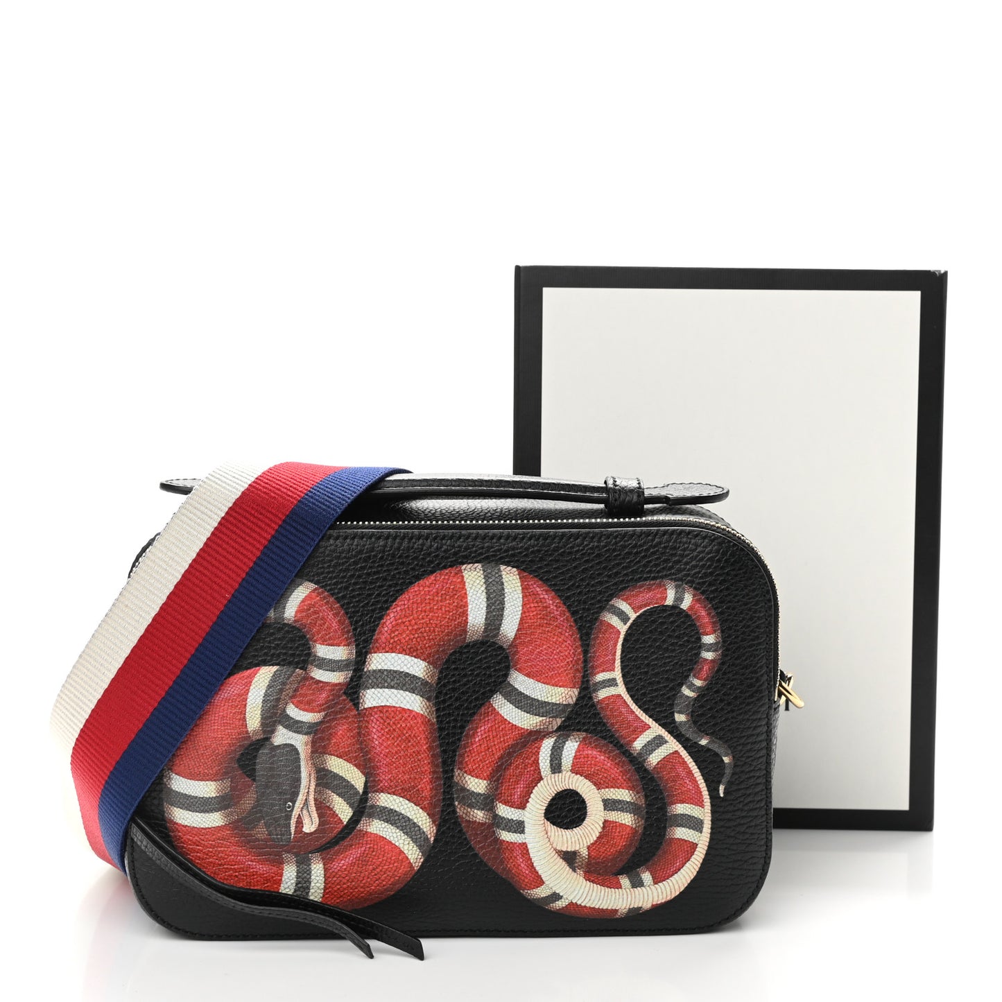 Grained Calfskin Sylvie Web Kingsnake Small Camera Bag Black Multicolor