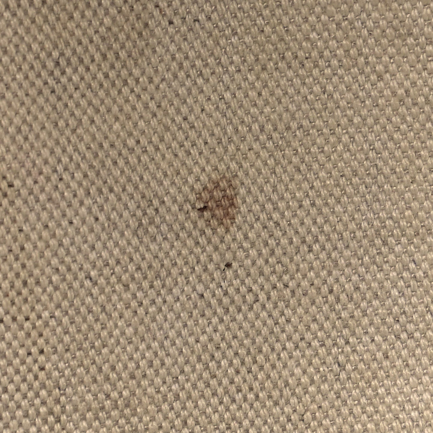 Goyardine Saint Louis GM Navy