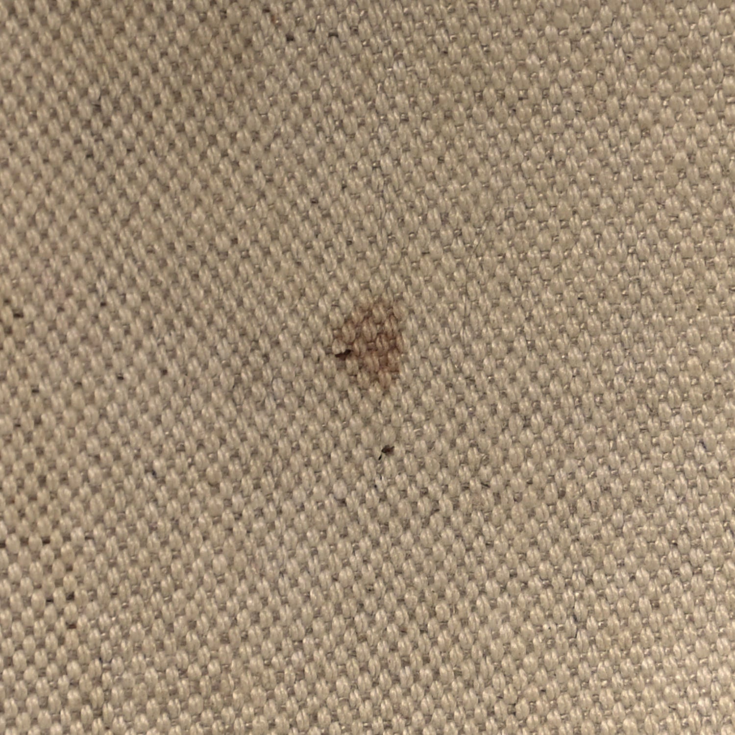 Goyard Goyardine Saint Louis GM Navy 9 of 9