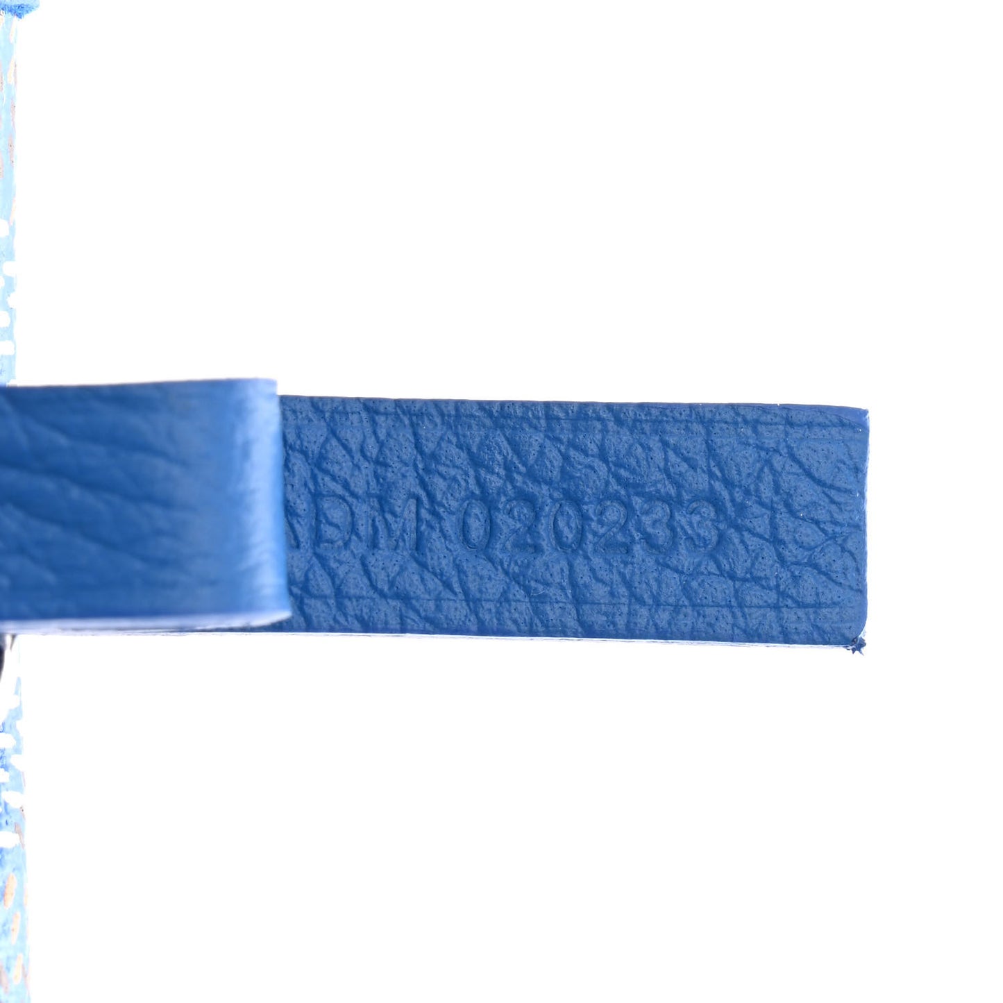 Goyardine Saint Louis PM Sky Blue