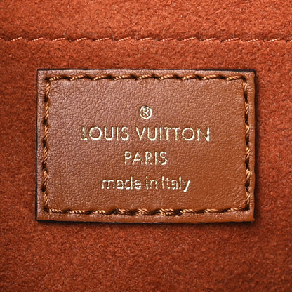 Louis Vuitton Kitted Raffia Petit Bucket Caramel 6 of 8