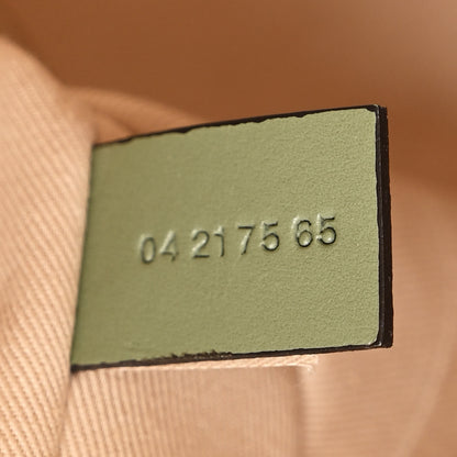 Chloe Cotton Calfskin Medium Woody Ribbon Tote White Green 7 of 10