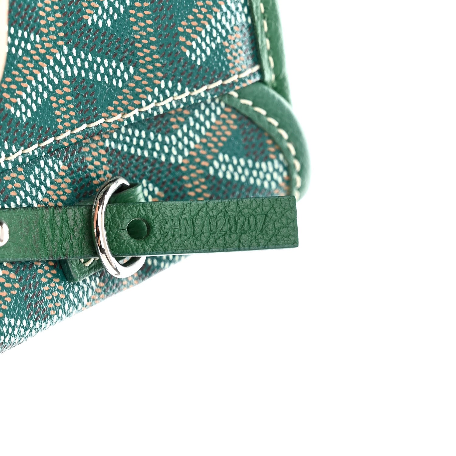 Goyard Goyardine Saint Louis PM Green 8 of 11