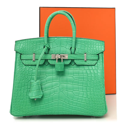 Hermes Matte Alligator Birkin 25 Vert Comics 13 of 13