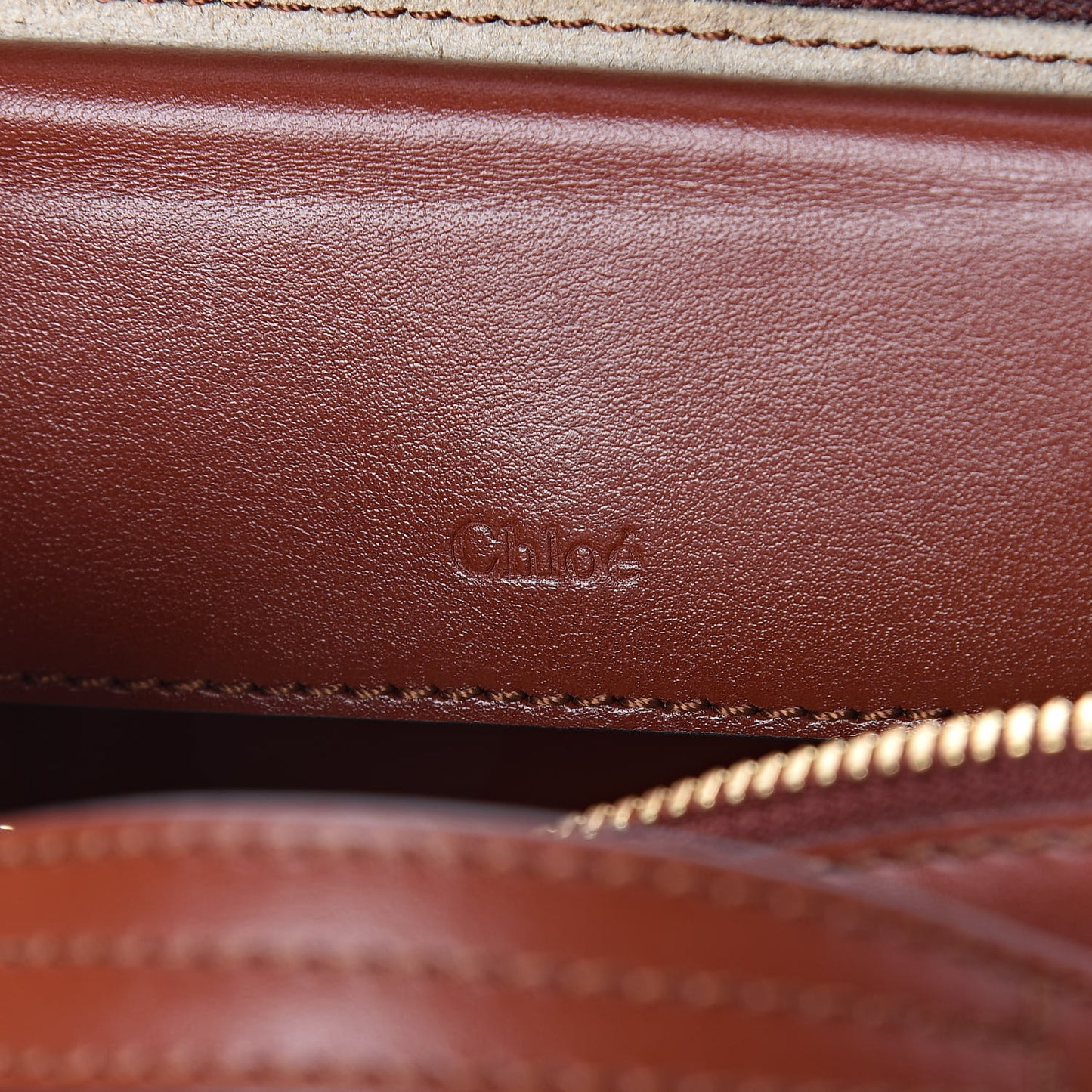 Shiny Calfskin Mini Vanity C Bag Sepia Brown