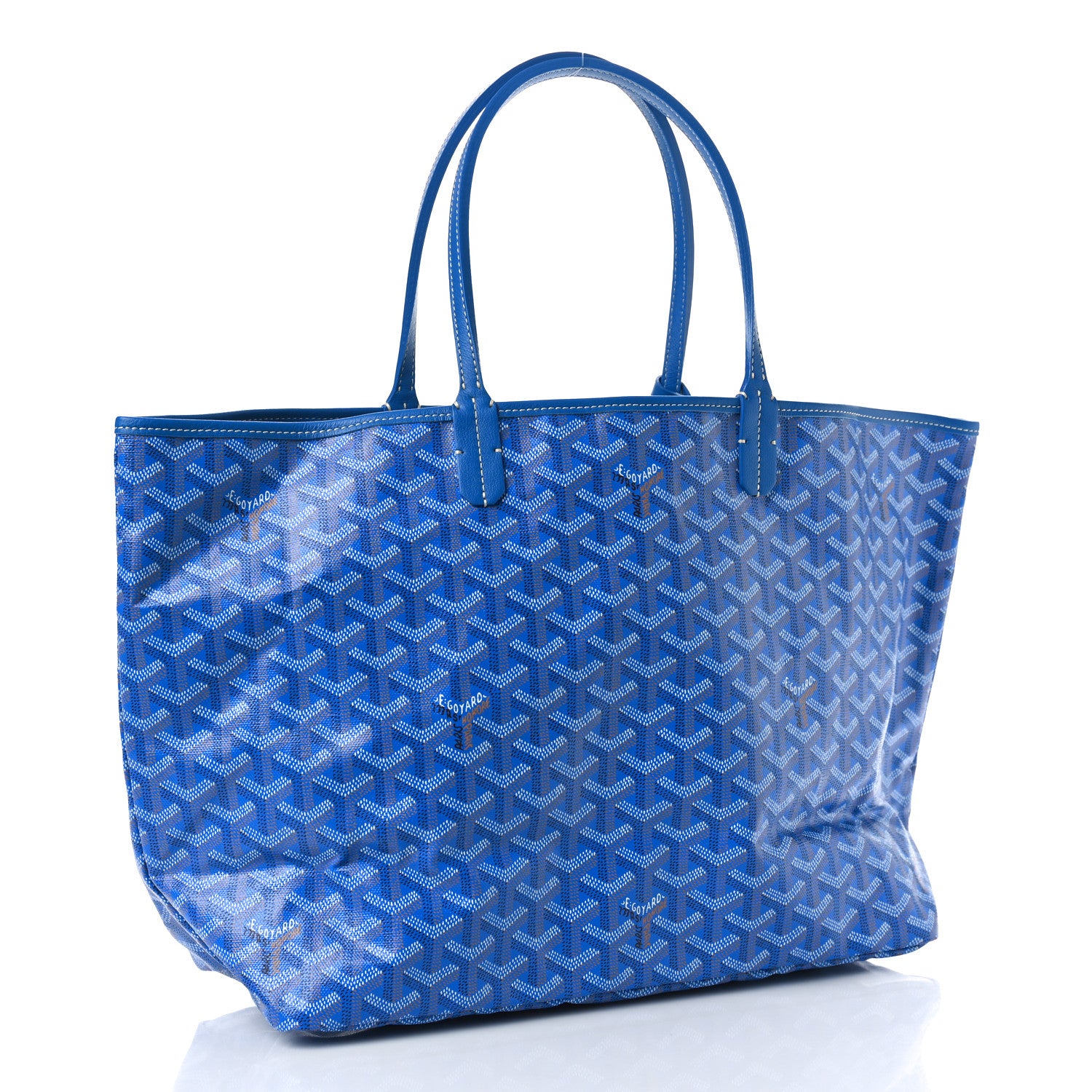 Goyard Goyardine Saint Louis PM Sky Blue 4 of 8