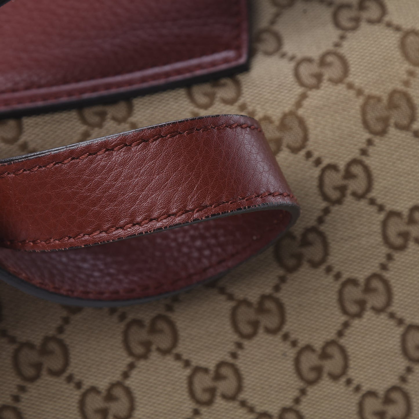 Monogram Web Medium Dressage Hobo Red