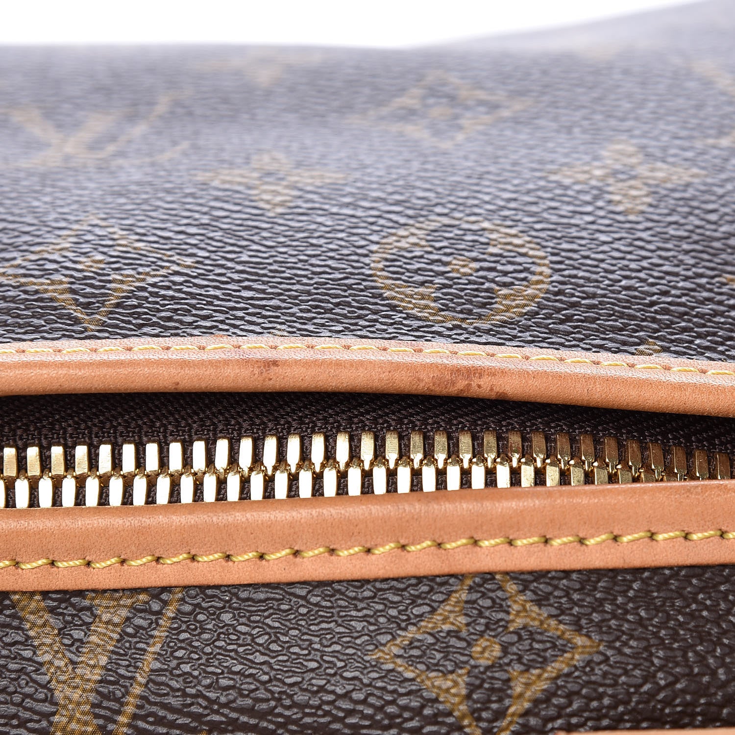 Louis Vuitton Monogram Sac Chien 50 Pet Carrier 19 of 22