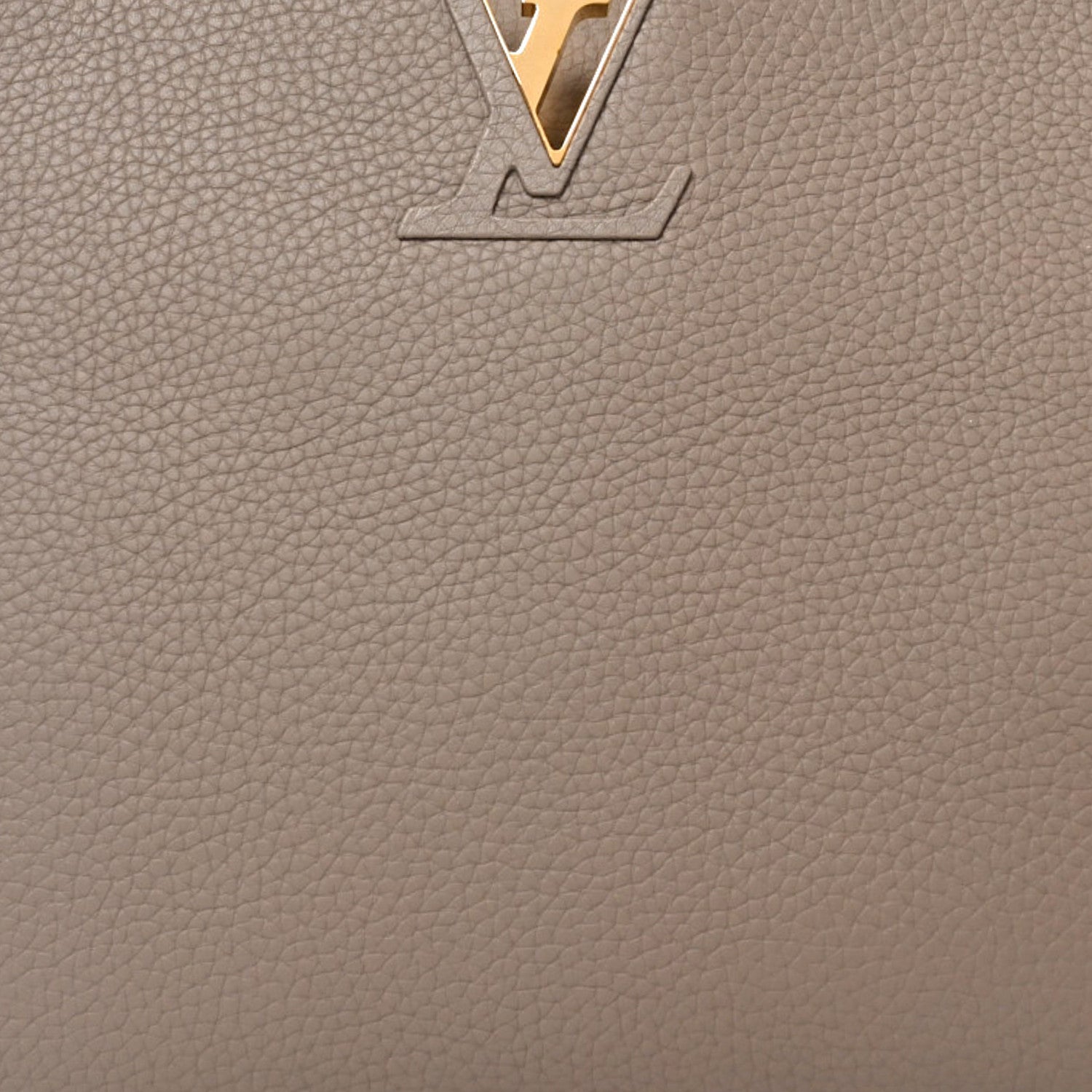 Louis Vuitton Taurillon Snakeskin Capucines Galet 7 of 9