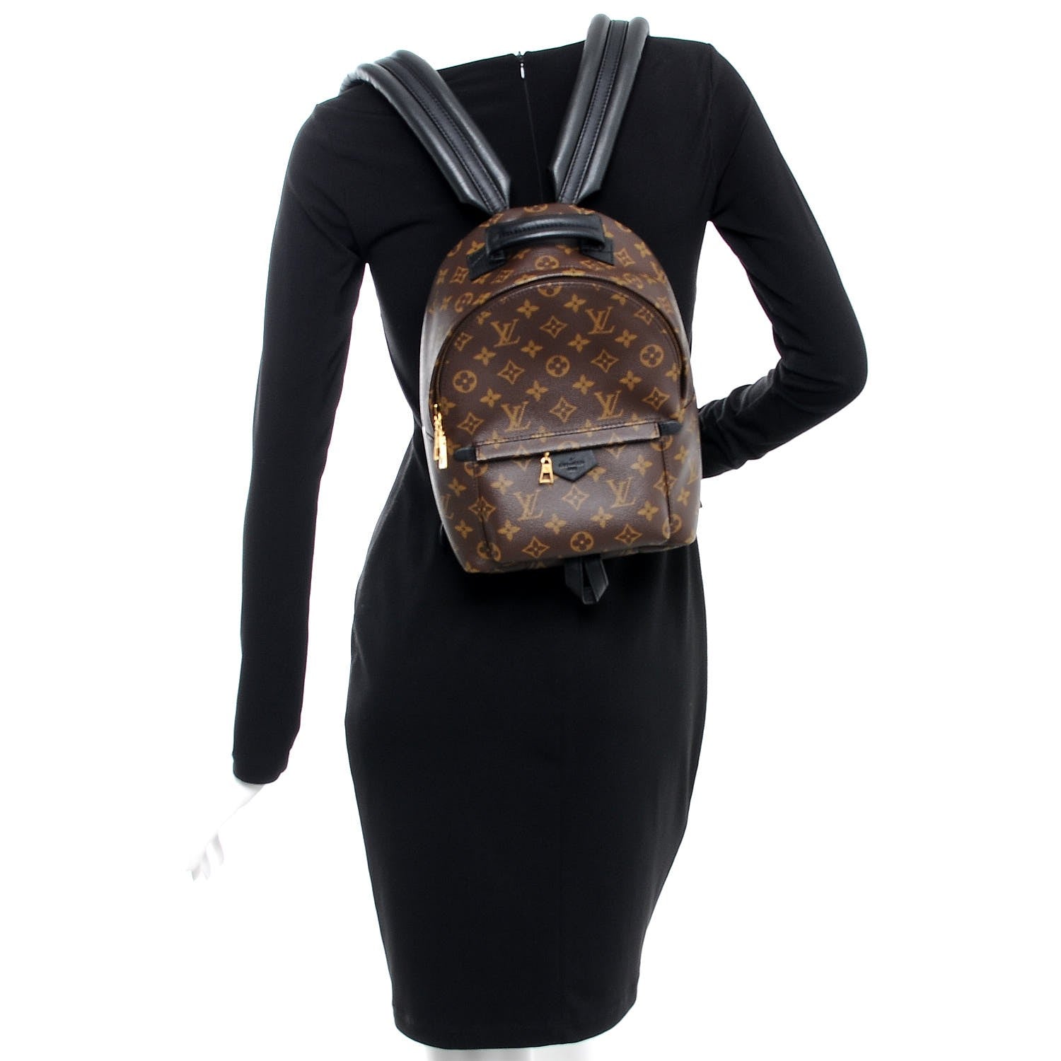 Louis Vuitton Monogram Palm Springs Backpack PM 2 of 8