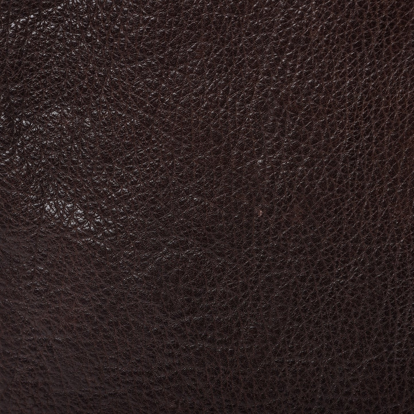 Caribou Le Dix Tote Chocolate