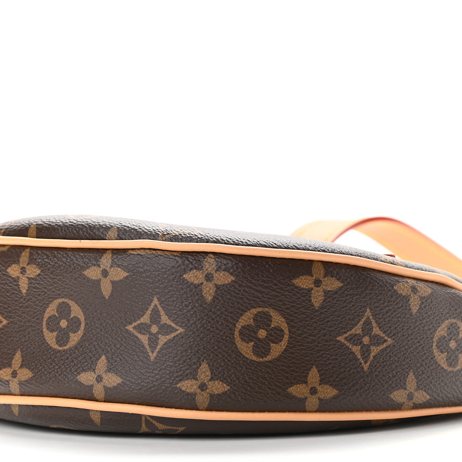 Louis Vuitton Monogram Loop 8 of 8
