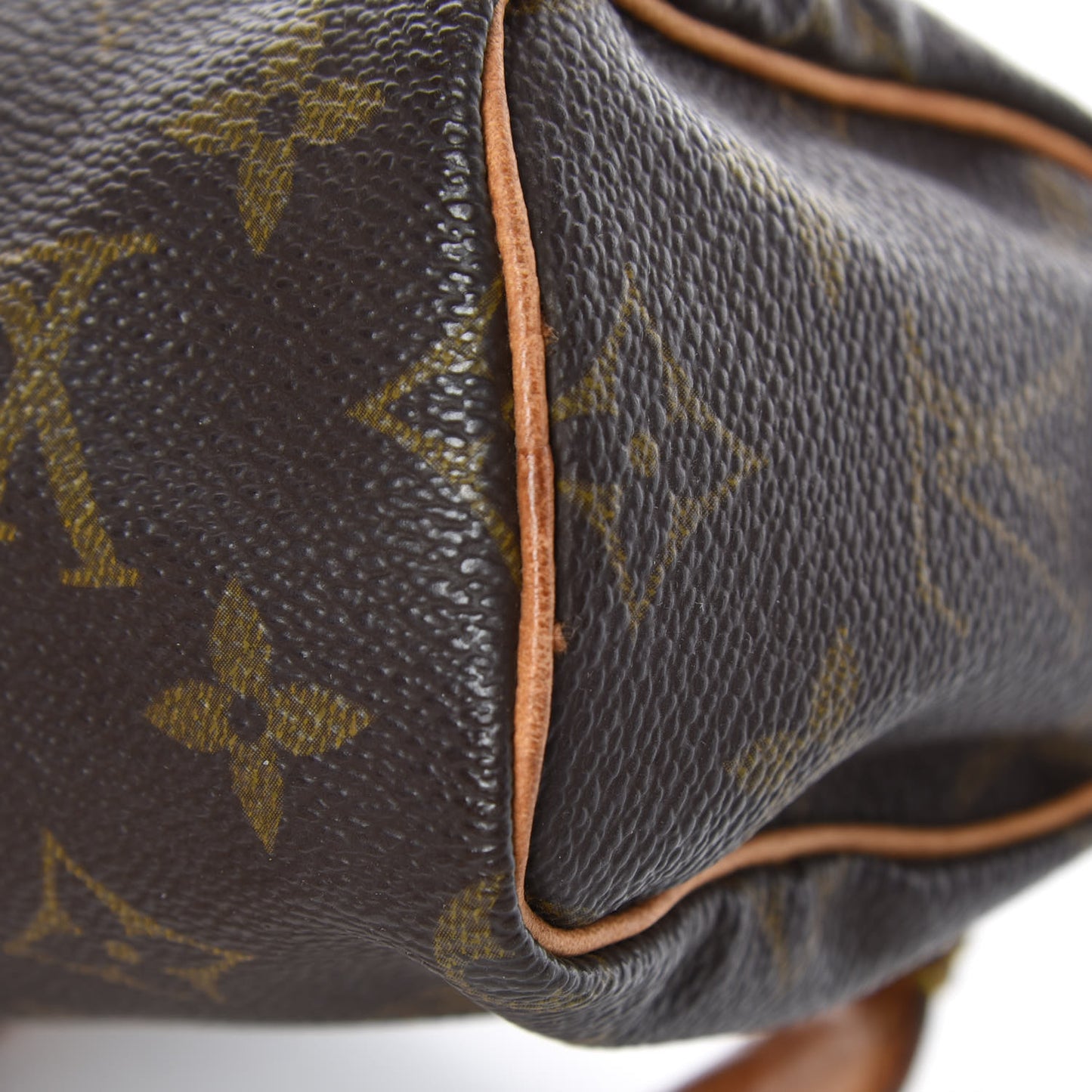 Monogram Mini Sac HL Speedy