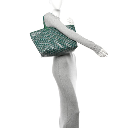 Goyard Goyardine Saint Louis PM Green 2 of 11