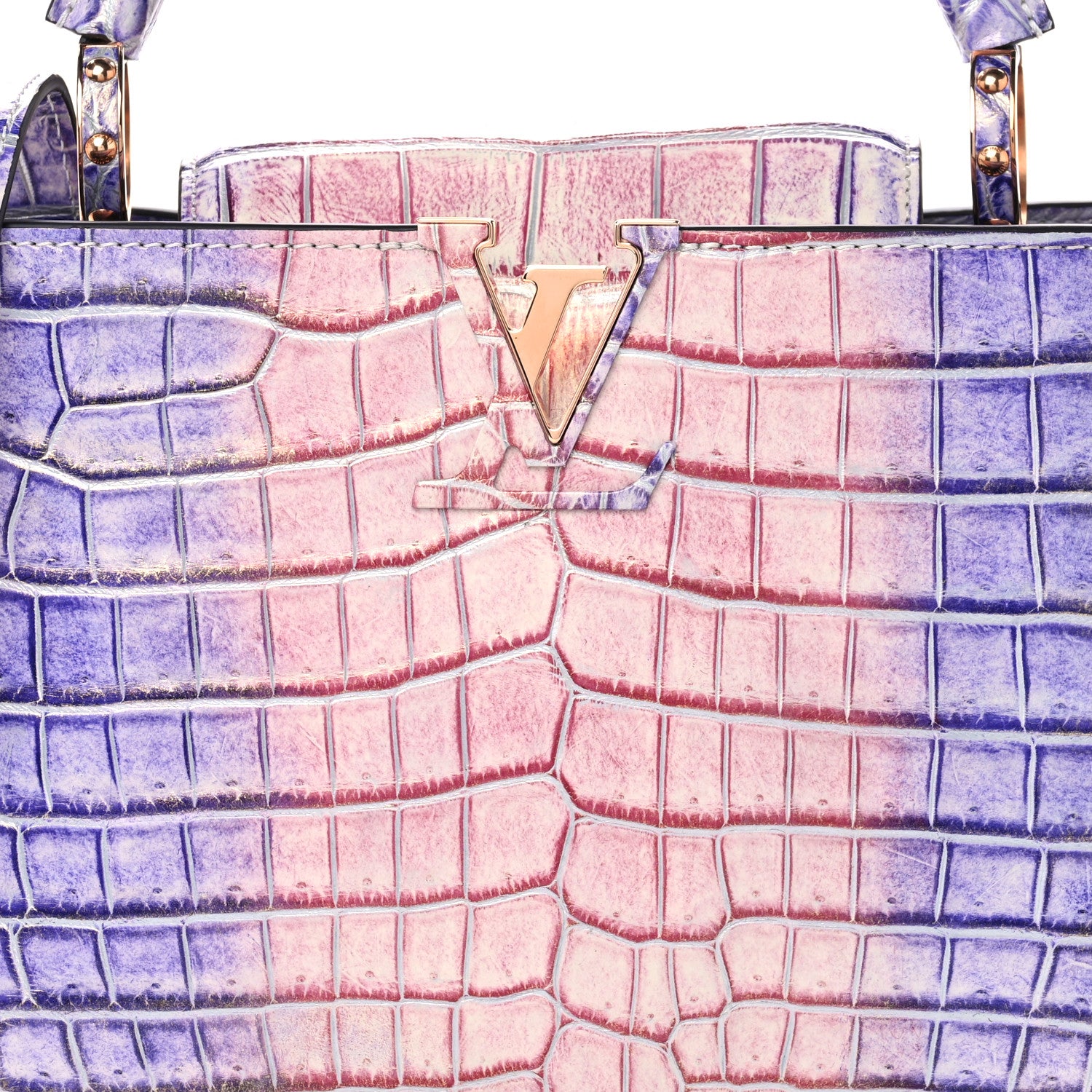 Louis Vuitton Crocodile Ombre BB Capucines Pink 7 of 9