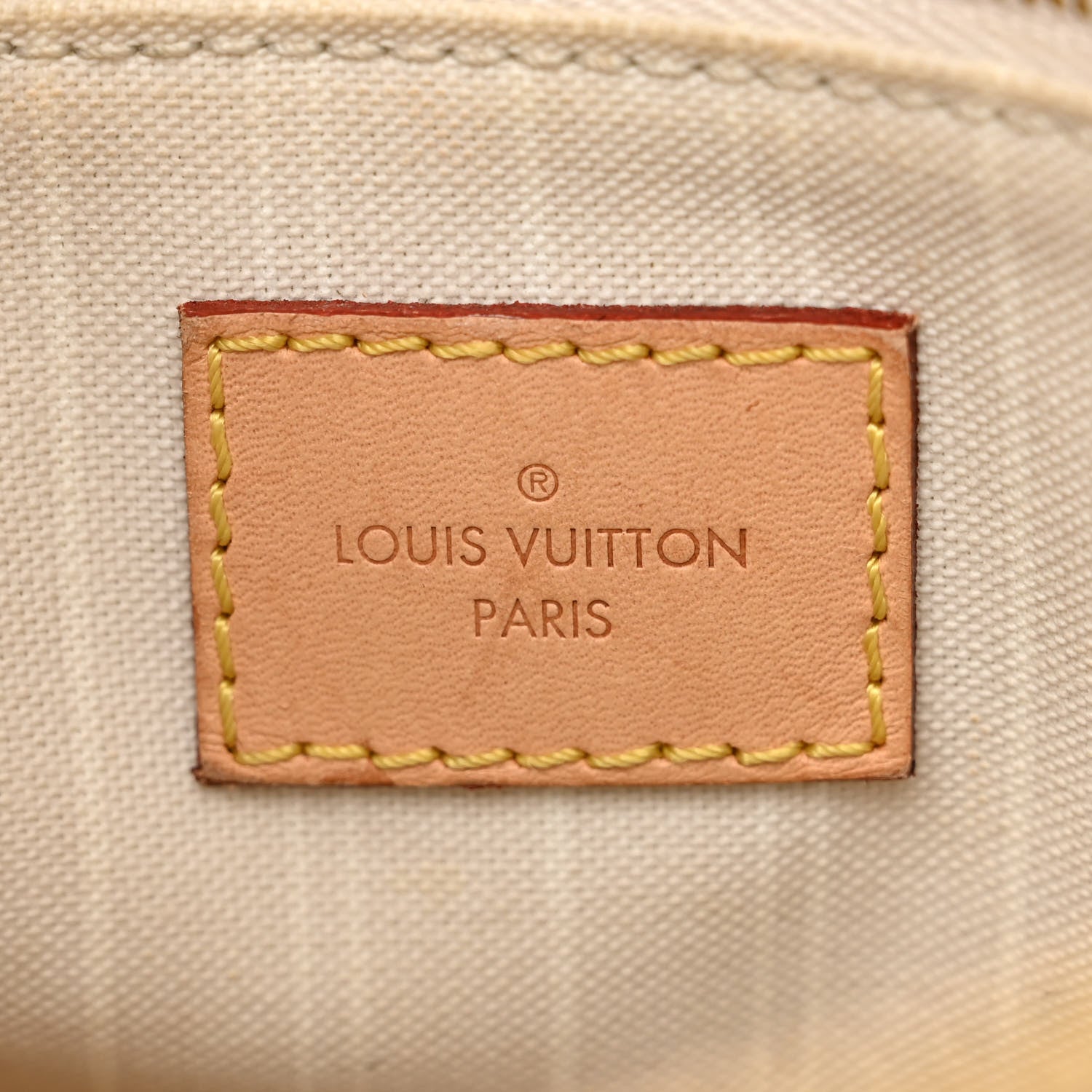 Louis Vuitton Monogram Giant By The Pool Speedy Bandouliere 25 Brume 7 of 19