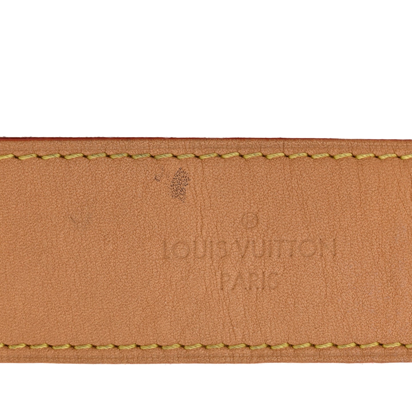 Monogram CarryAll MM