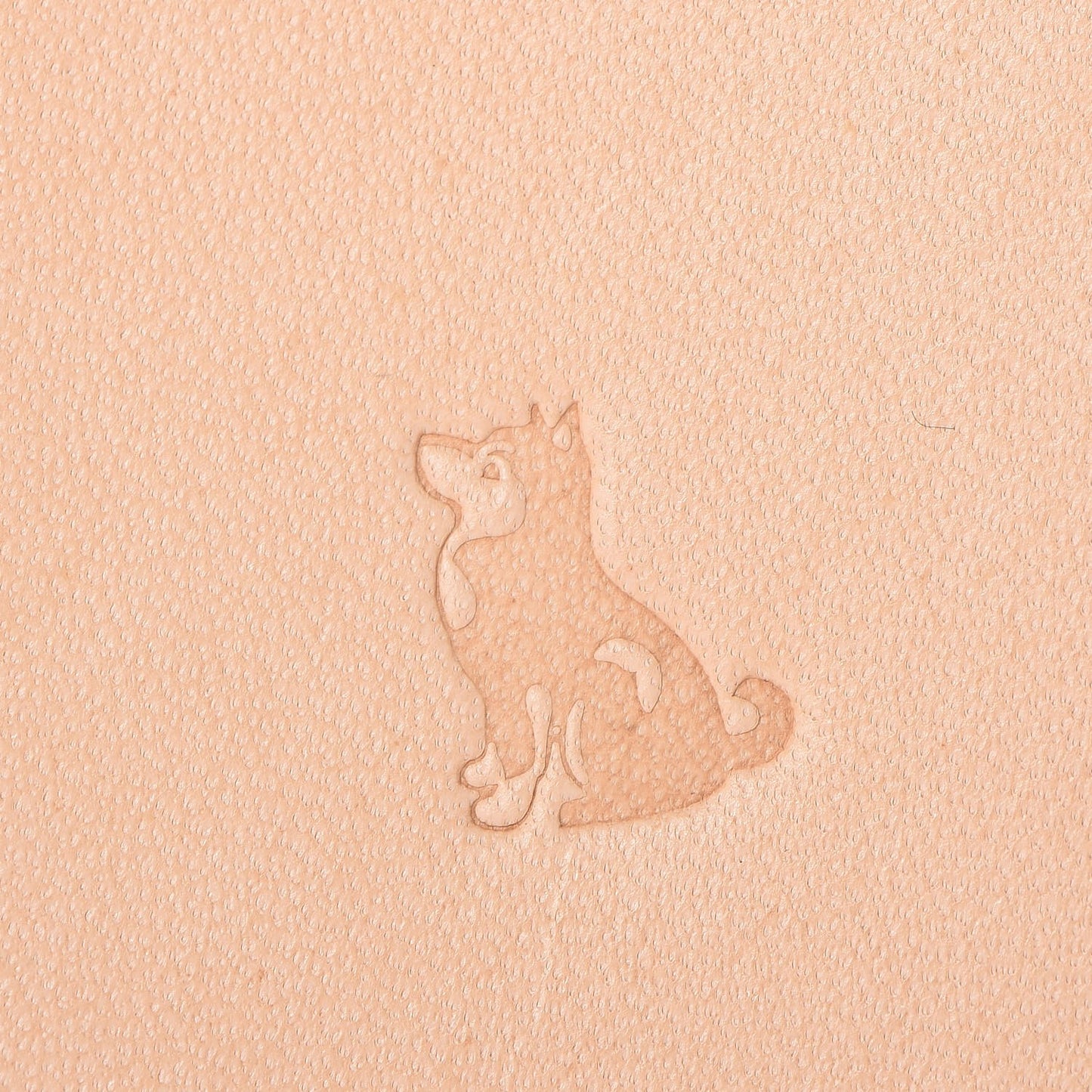 Vachetta Luggage Tag